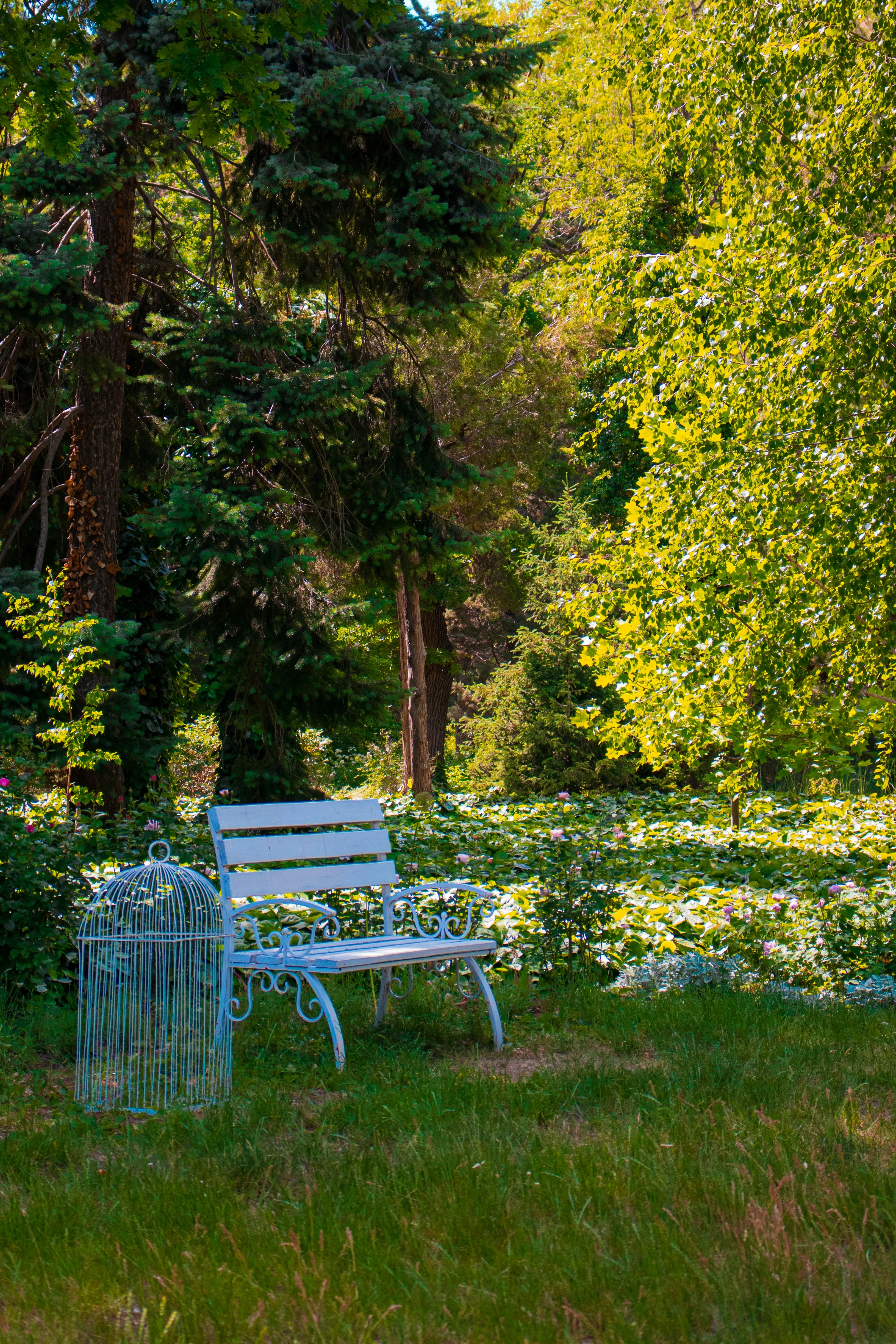 A serene view from a mountain peak overlooking a soft valley of clouds at sunrise, evoking a sense of clarity and perspective.